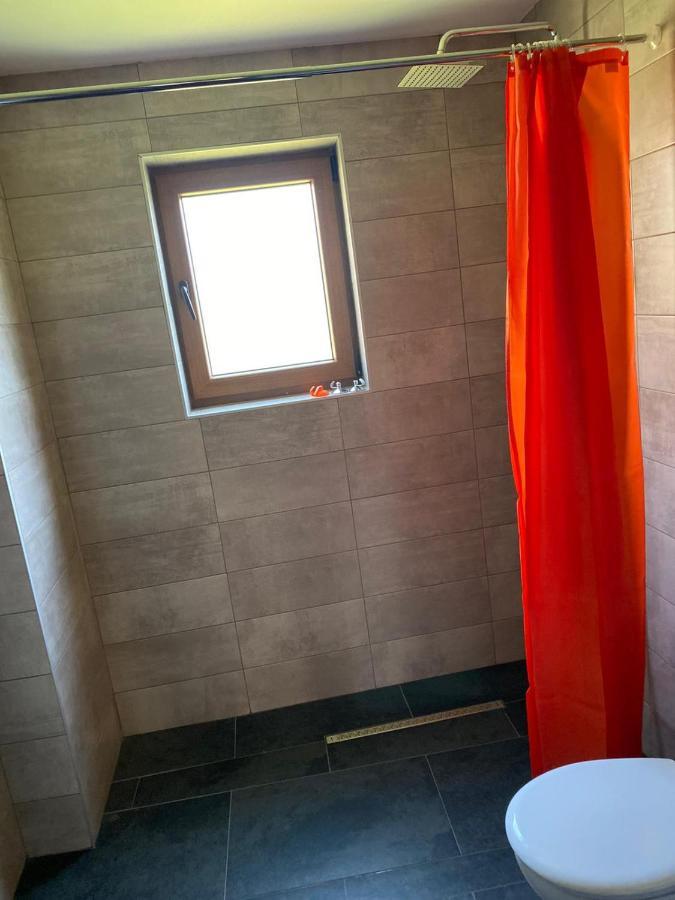 Casa Cerbului Lejlighed Vişeu de Sus Eksteriør billede