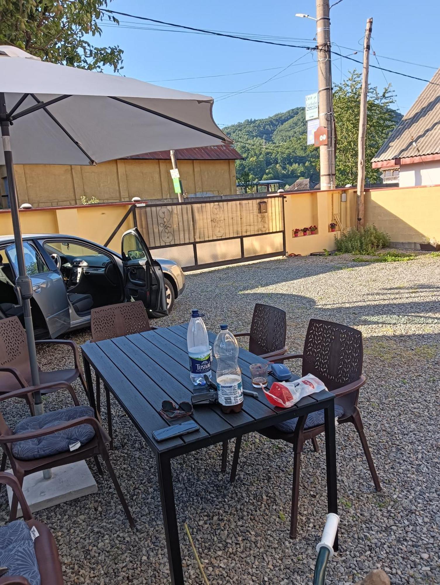 Casa Cerbului Lejlighed Vişeu de Sus Eksteriør billede